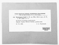 Image Associated With the Occurence